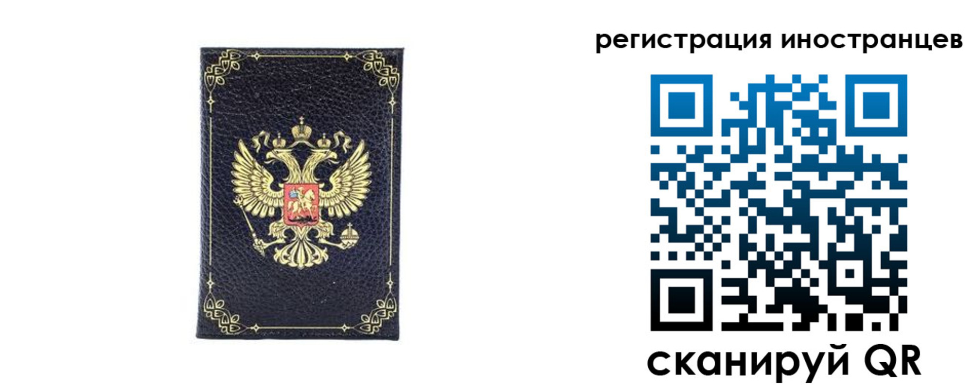 прописка для школы в Всеволожске